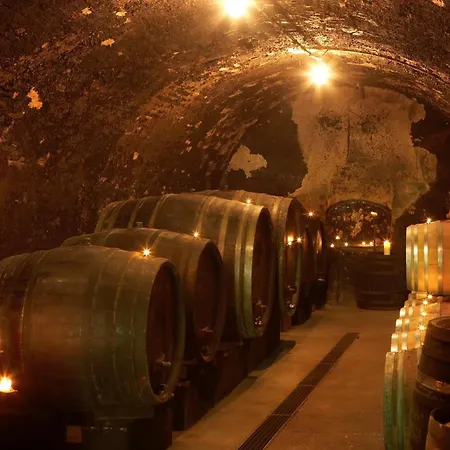 Weingut Herzinger * Franzhausen