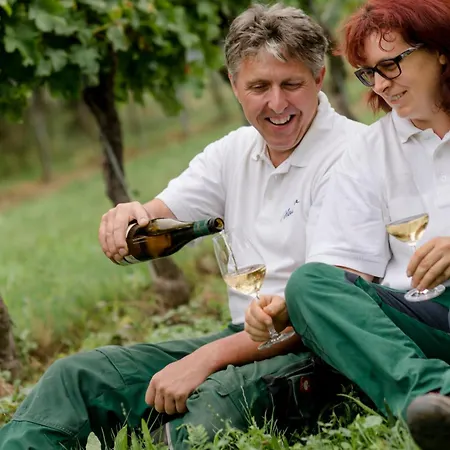 Weingut Herzinger Vakantieboerderij Franzhausen