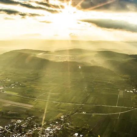 Weingut Herzinger Vakantieboerderij Franzhausen