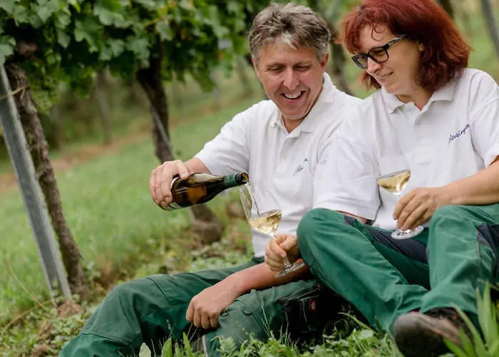 Weingut Herzinger Vakantieboerderij Franzhausen