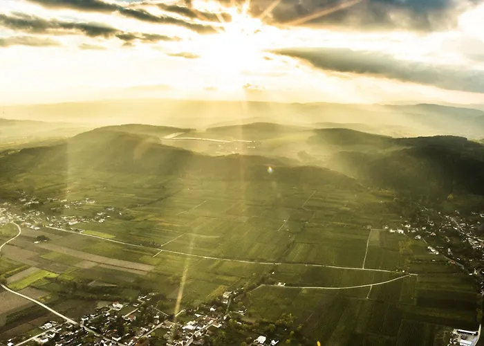 Weingut Herzinger Farm stay Franzhausen